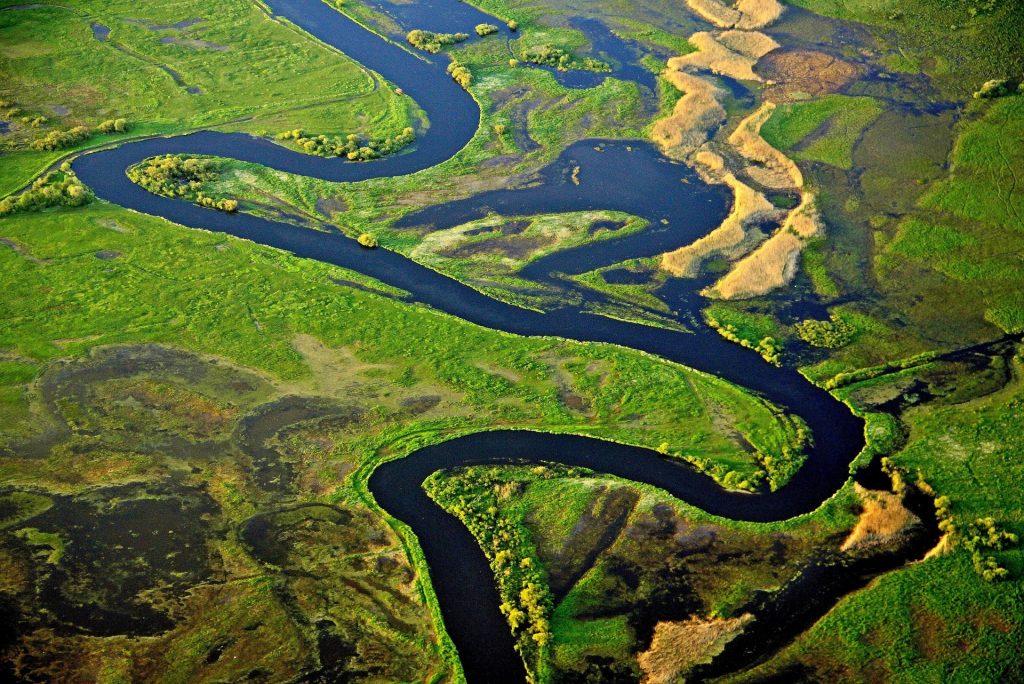 rzeka Narew